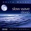 Slow Wave Sleep - Delta Waves