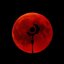 Blood Moon - Single