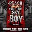 Reach for the Sky (The Briscoes Theme)