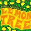 Lemon Tree [single]