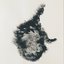 Surfaces