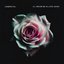 I'll Never Be in Love Again - Single