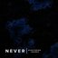 Never (Feat. Anubis-XIII)