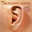 The roaring Silence