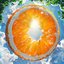 Mostly Sunny