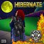 Hibernate
