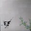 EF