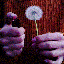 Avatar for enotidiot