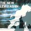 The New Lev Yashin