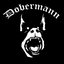Dobermann