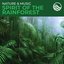 Nature & Music: Spirit Of The Rainforest