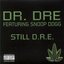 Still D.R.E. - Single