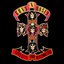 Appetite for Destruction [2156]