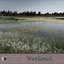 Wetlands