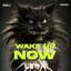 Wake Up Now