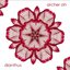 Dianthus - Single