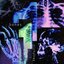 bones