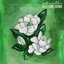 Felt Like Home [Explicit]