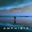 Amphibia