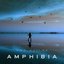 Amphibia