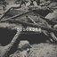 Disorder - Single
