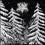 Eternity of Desolate Winter