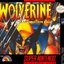 Wolverine: Adamantium Rage