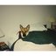 Bedridden [Explicit]