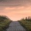 Pathways