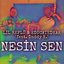 Nesin Sen