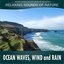 Ocean Waves, Wind and Rain: Relaxing Sounds of Nature