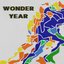 Wonder Year