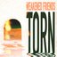 Torn - Single