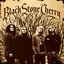 Black Stone Cherry [Special Edition]