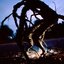 Threshold - Single