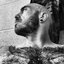 Avatar de thefuriouscoder