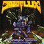 3080 Flux