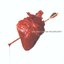 The Best of the Wildhearts