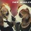 Them Beagles