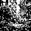 ISMVA003.1
