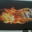 Аватар для tiger999