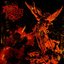 Storm of God - Single