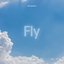 Fly - Single