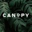 Canopy