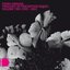 Twilight Of Perception Redux : Volume Two 1995 - 2002