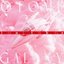 OTOME in the GALAXY