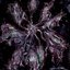 Grave Robbing for Morons [Explicit]