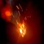 Tales of the Embers' Glow