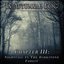 In Autumnal Fog - Chapter III: Nightfall In The Darkstone Forest