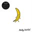 Castle Face and Friends – The Velvet Underground & Nico